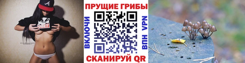 цены наркотик  Суровикино  Псилоцибиновые грибы мухоморы 